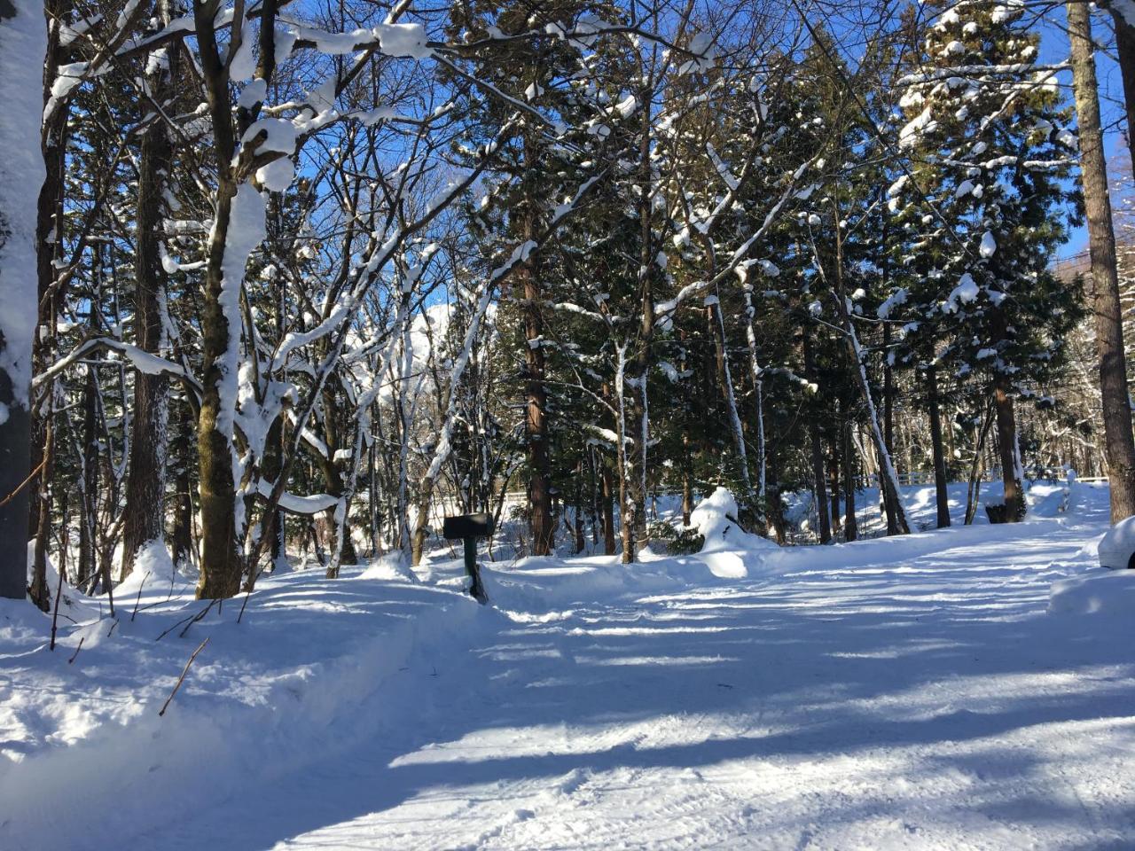 Hakuba Cottage Gram Exterior photo